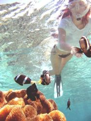 Ganga Island, Sulawesi. Had to duck dive whilst snorkling... by Huw Jenkins 